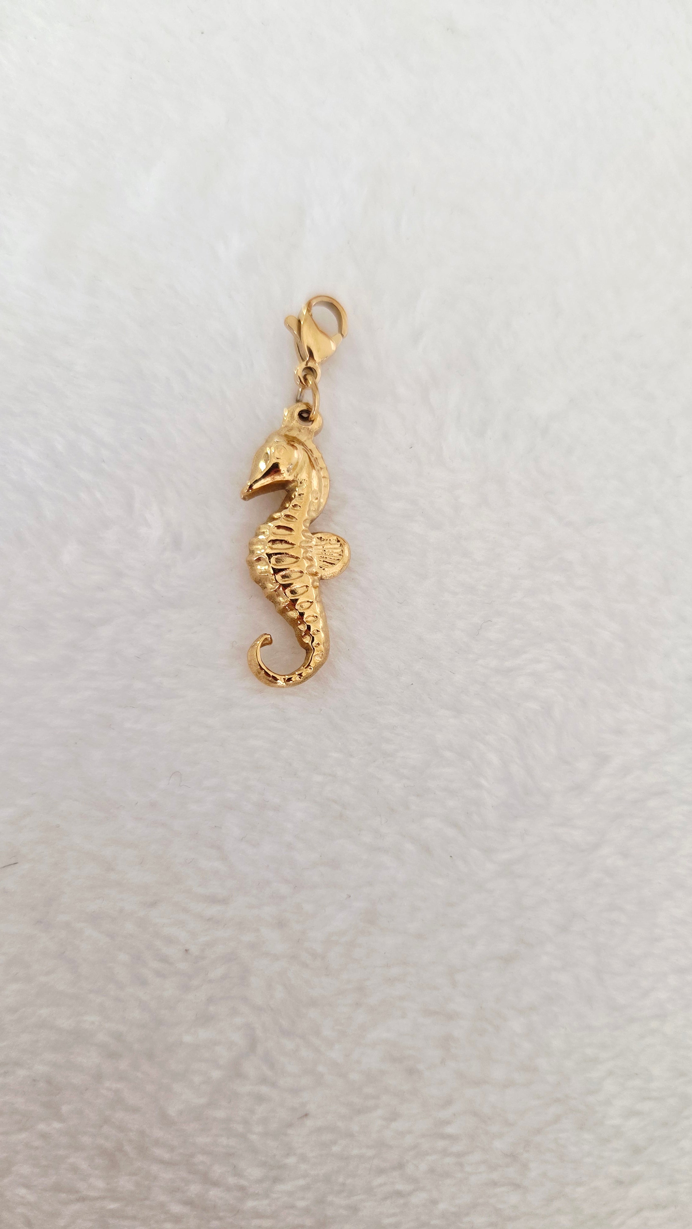 Charm hippocampes